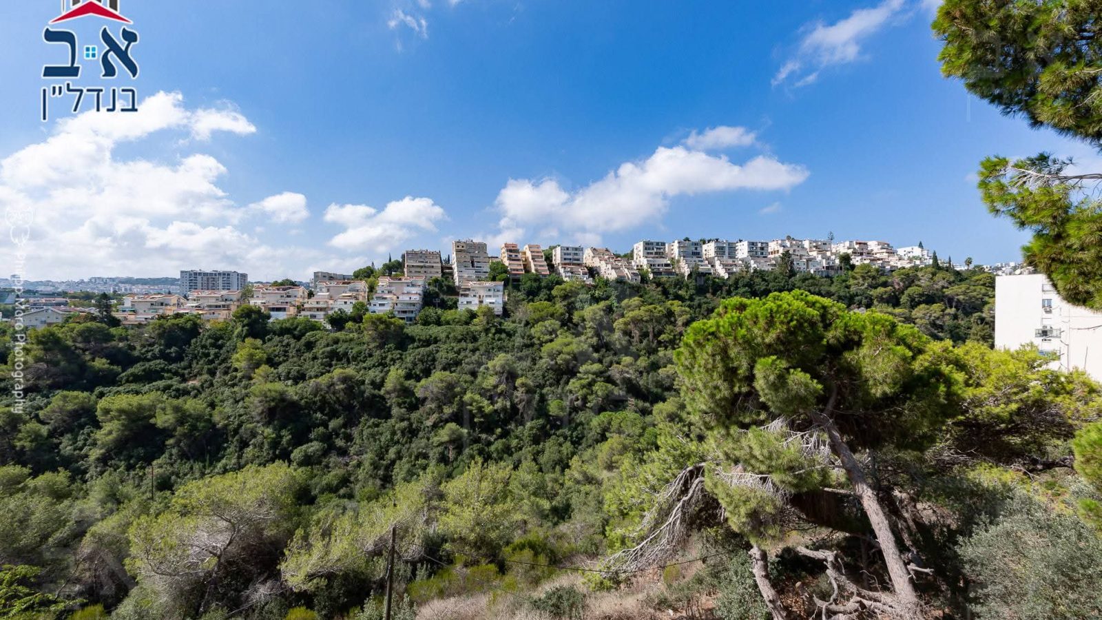 למכירה ברחוב האסיף בקרבת מרכז הכרמל