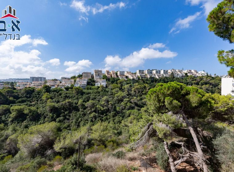 למכירה ברחוב האסיף בקרבת מרכז הכרמל