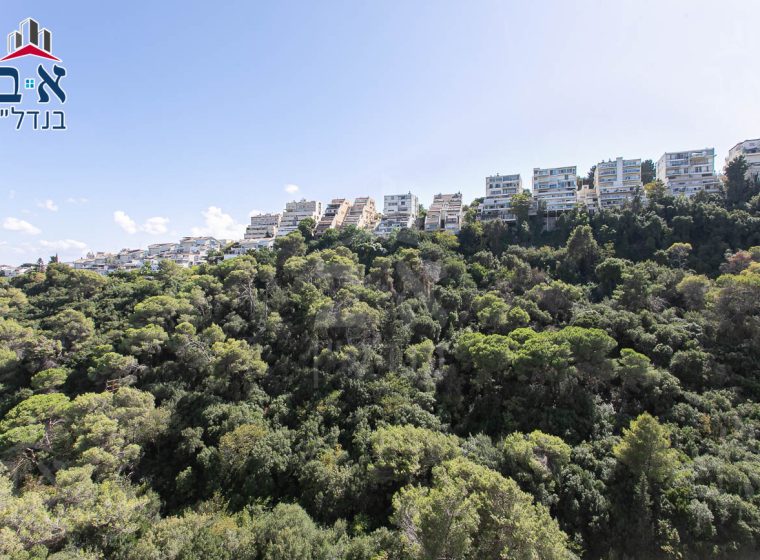 למכירה ברחוב האסיף בקרבת מרכז הכרמל